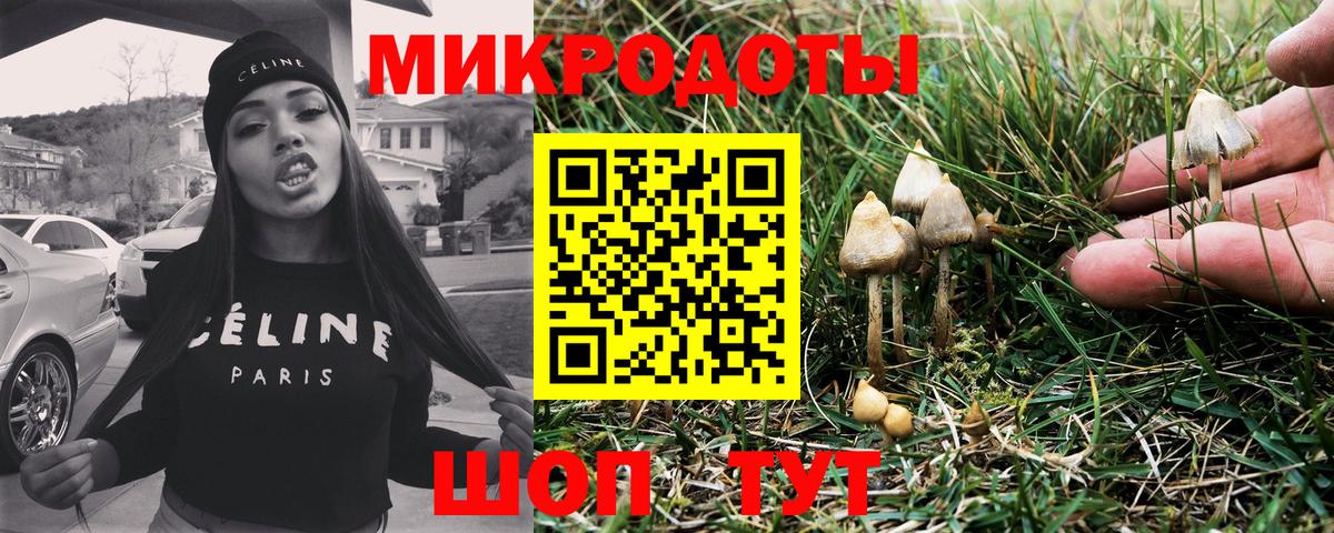 купить закладку  Псилоцибиновые грибы прущие грибы  Вход с VPN  Кызыл 
