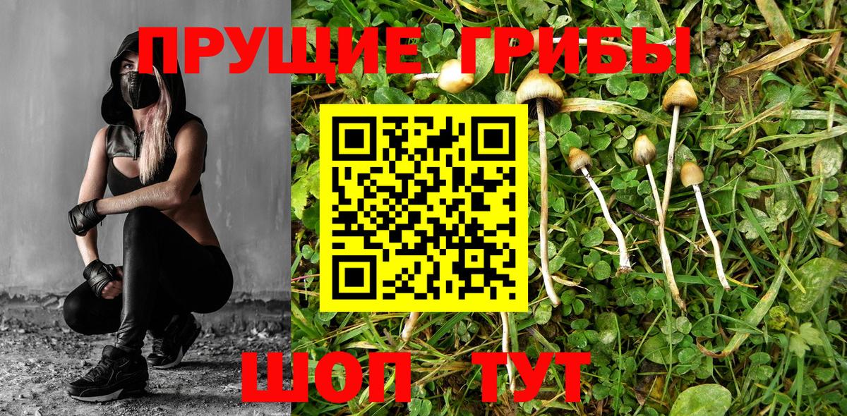 Codein Кызыл