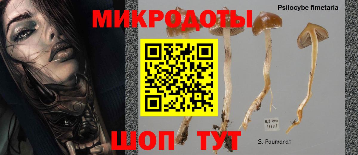 Псилоцибиновые грибы мухоморы Кызыл